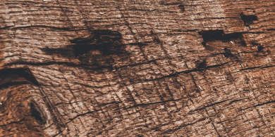 Robuust Hout balk2 Robuust Hout balk2